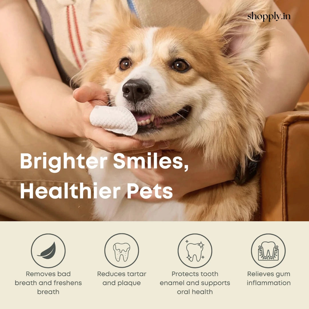 Shopply® Pet Dental Finger Wipes (50 pcs)