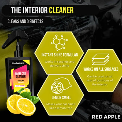 Coating Spray & Foam Car Cleaner (Combo)