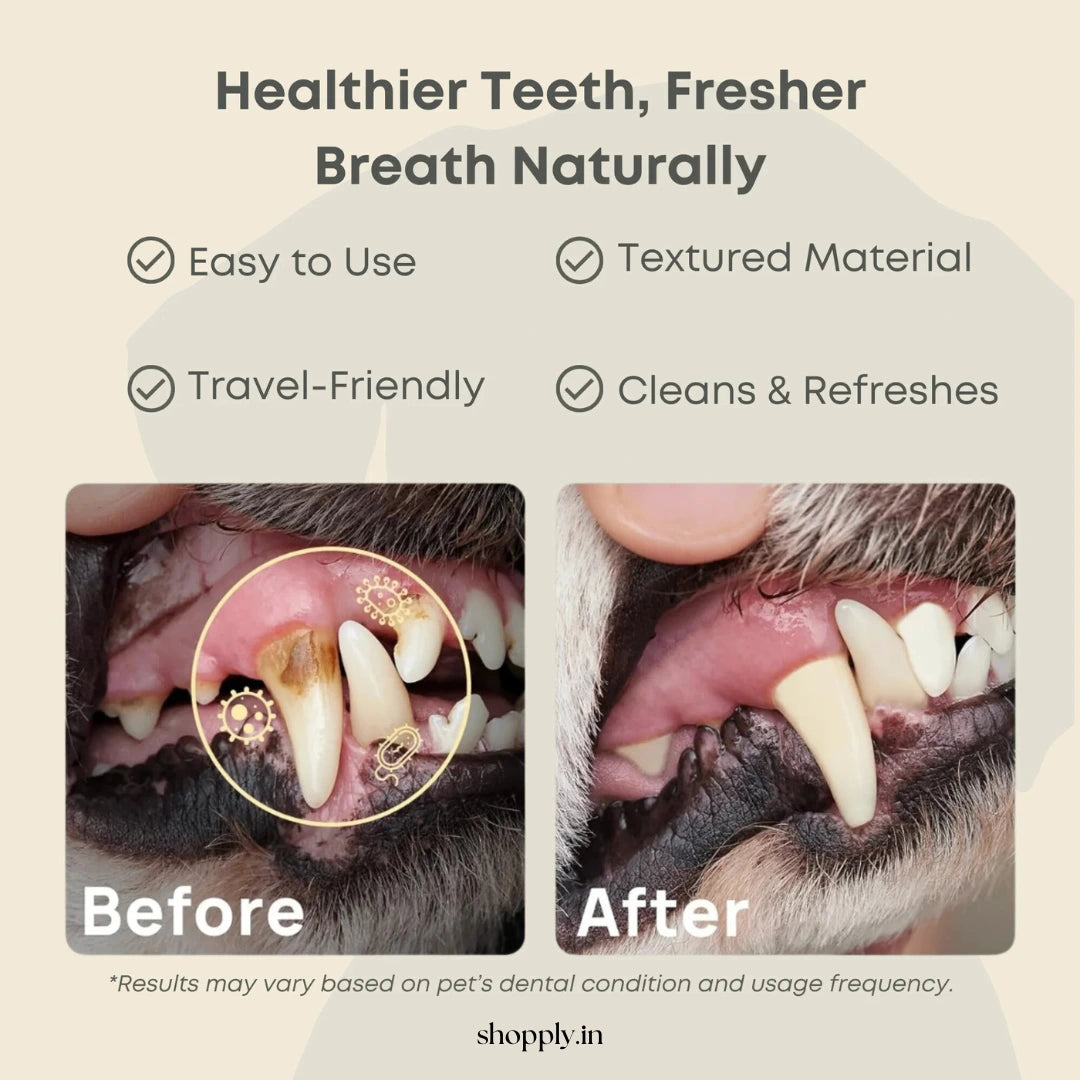 Shopply® Pet Dental Finger Wipes (50 pcs)
