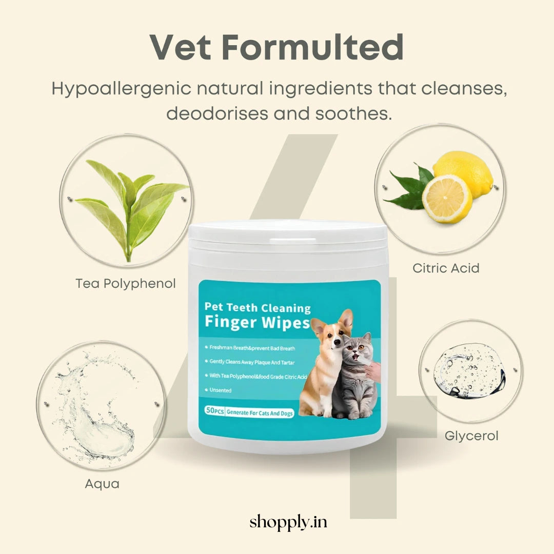 Shopply® Pet Dental Finger Wipes (50 pcs)