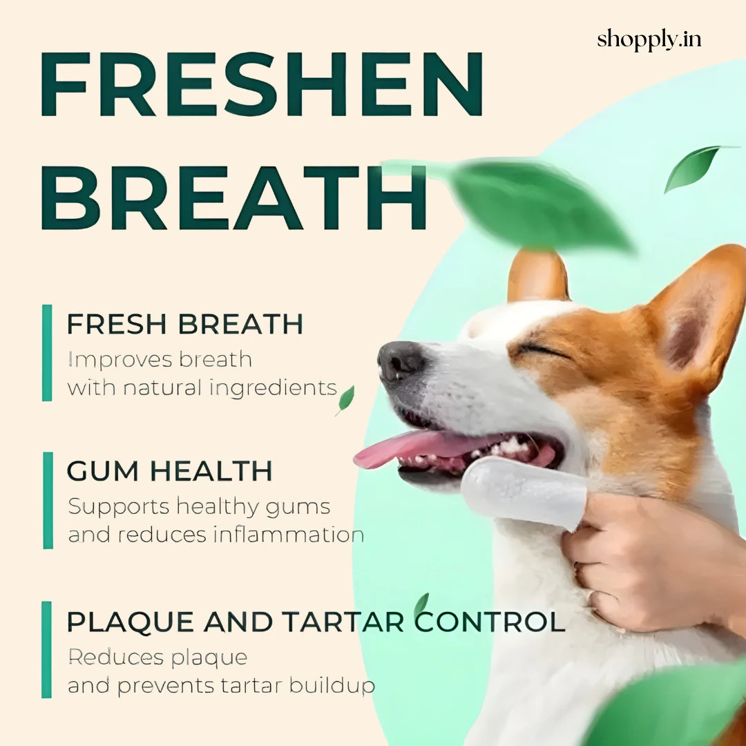 Shopply® Pet Dental Finger Wipes (50 pcs)