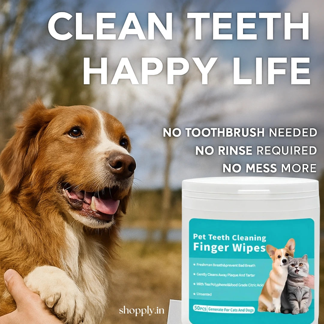 Shopply® Pet Dental Finger Wipes (50 pcs)